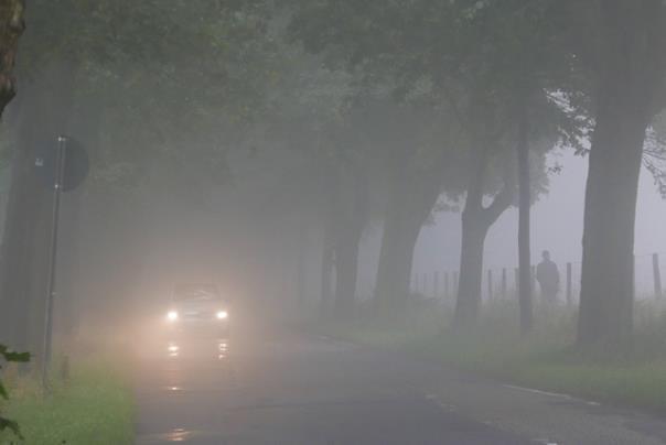 Bei Nebel runter vom Gas und Abstand vergrößern. Foto: ADAC